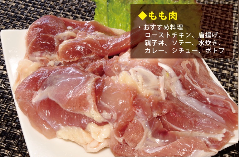 天草大王