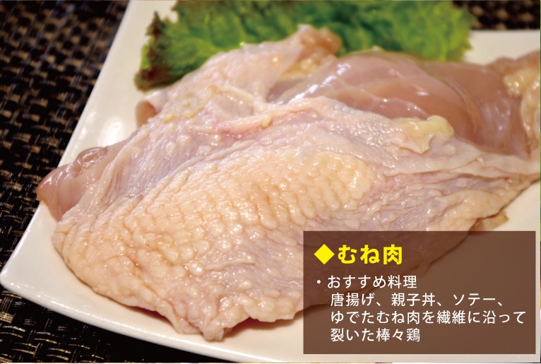 天草大王
