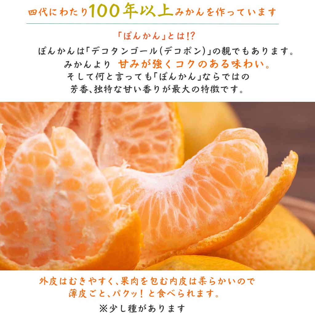 1月2月限定出荷/上果園のこだわり ぽんかん（家庭用）5kg 送料無料