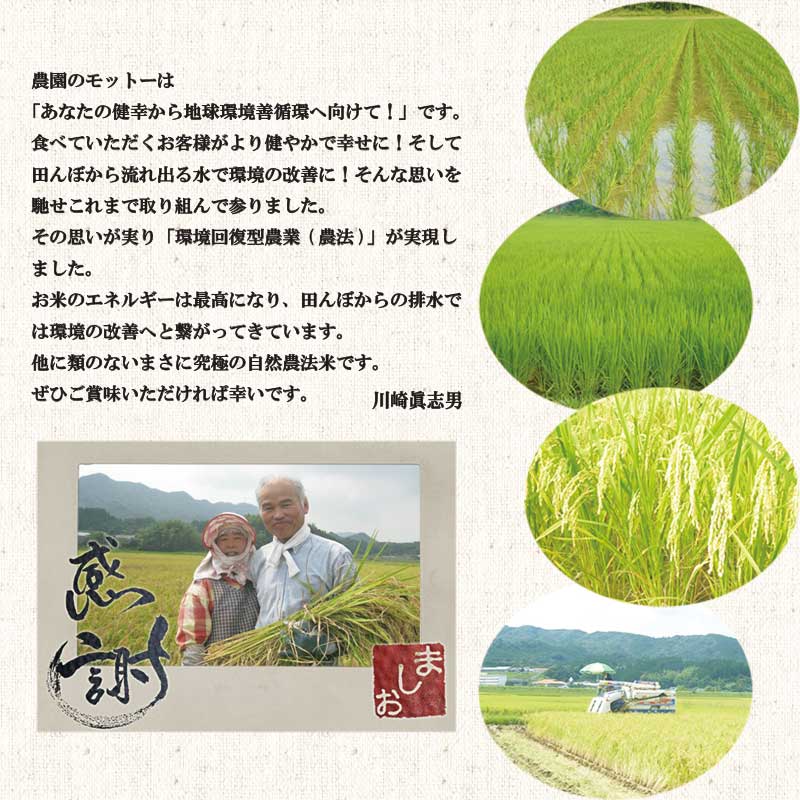 令和6年度米完売御礼＼令和7年度新米予約受付中／完全無農薬米