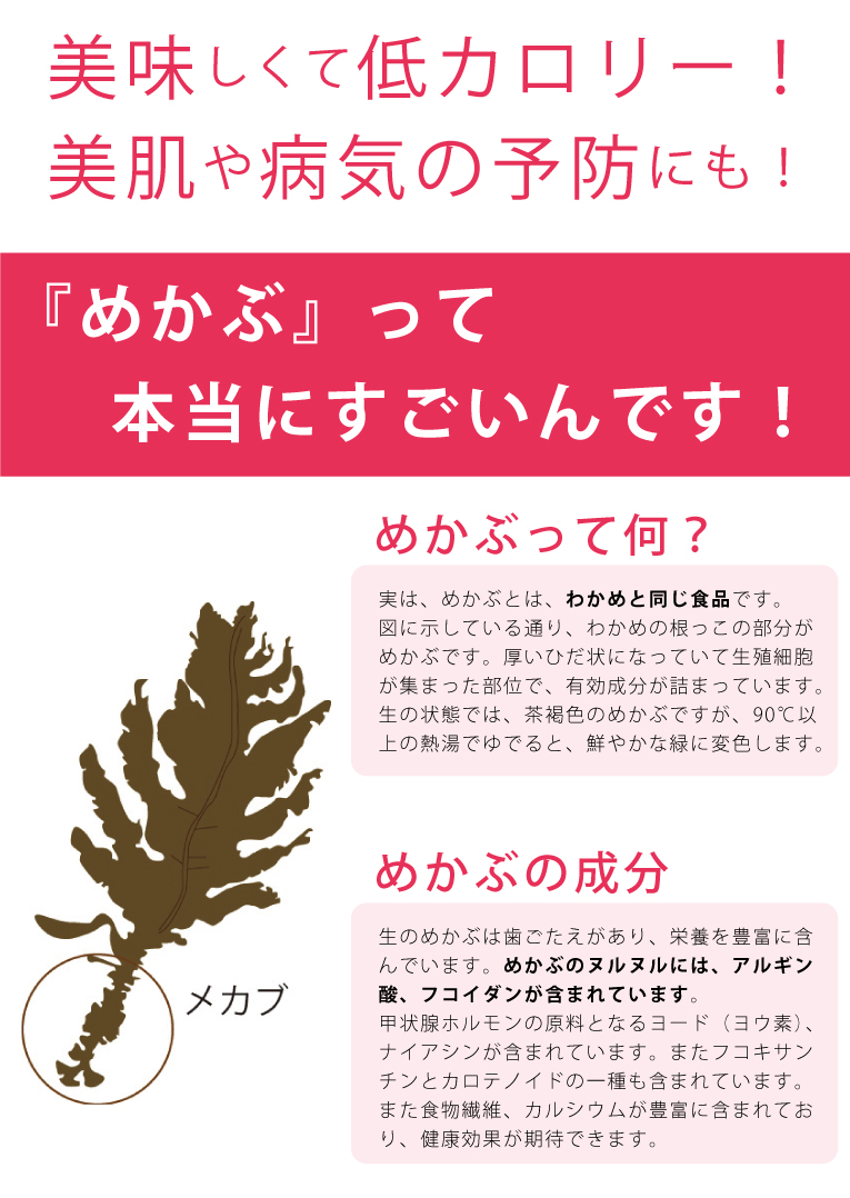 海とろろ　井上勇商店