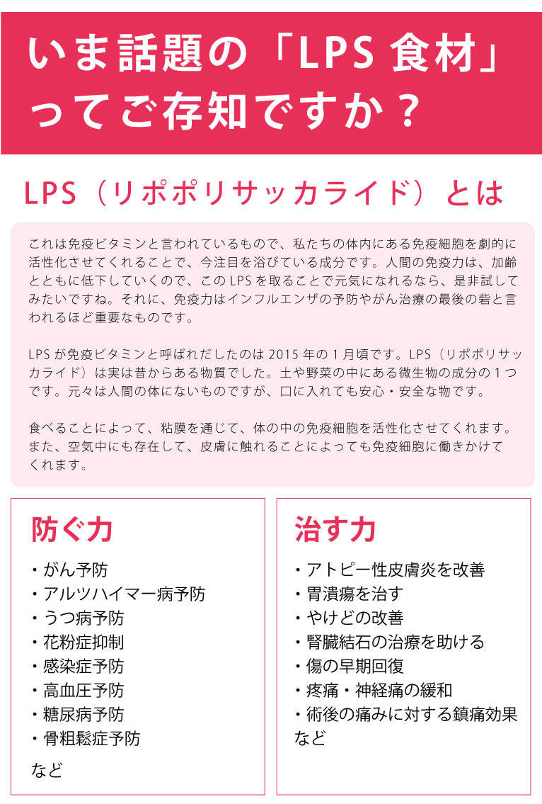 海とろろ　井上勇商店