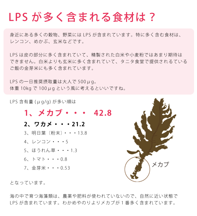 海とろろ　井上勇商店