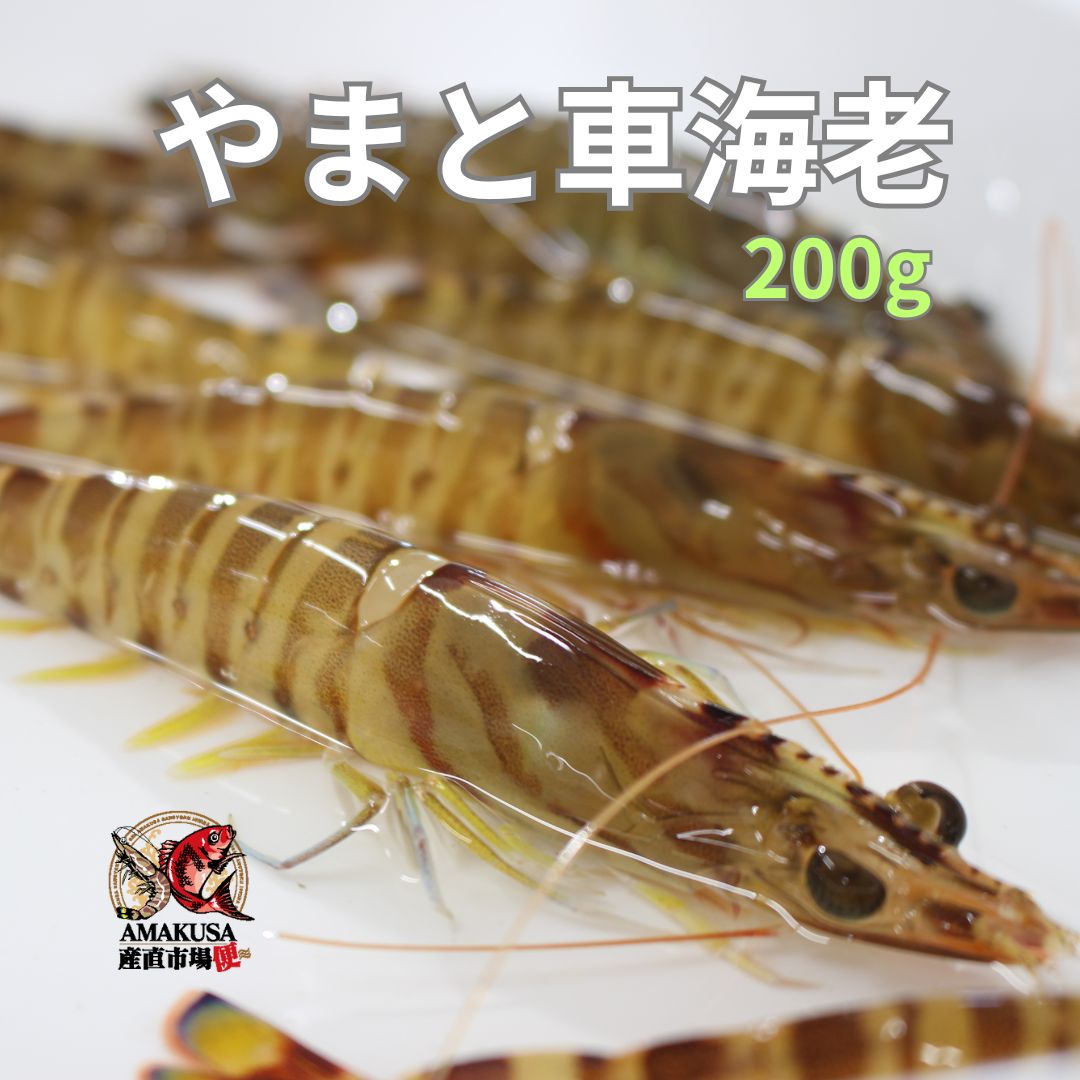 やまと車海老200g